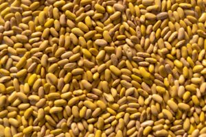 Vivid close-up of yellow beans creating a natural textured background. Perfect for food concepts.