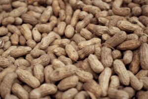Abundance of raw peanuts in shells. Great for backgrounds or agricultural themes.