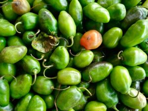 Close-up of a collection of fresh green peppers with vibrant colors and textures, highlighting freshness.
