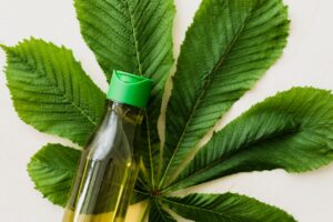 Top view of cosmetic oil in small bottle placed flat on big green chestnut tree leaf on white background